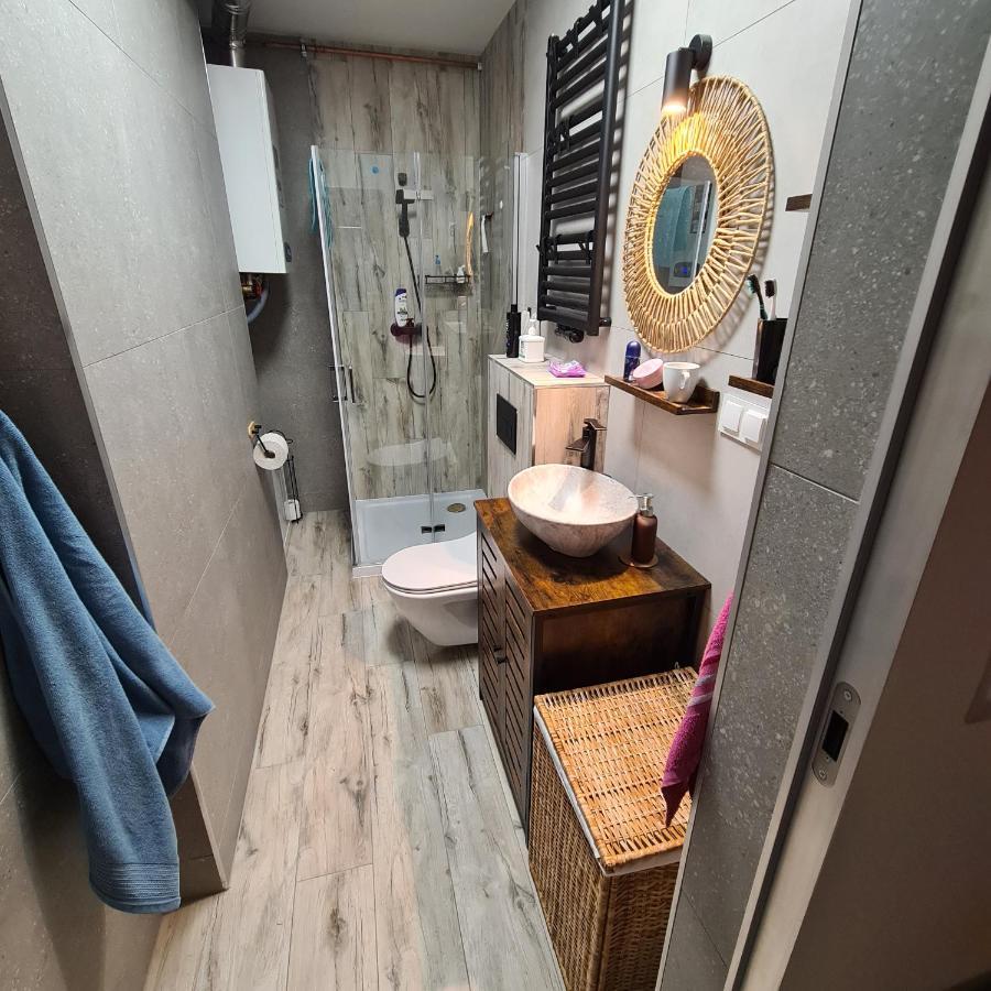 Apartament Pod Gora Witosza スタニシュフ エクステリア 写真